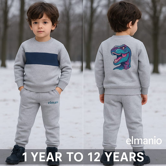Child wearing a gray sweatshirt and pants set with a dinosaur design, standing in a snowy landscape.